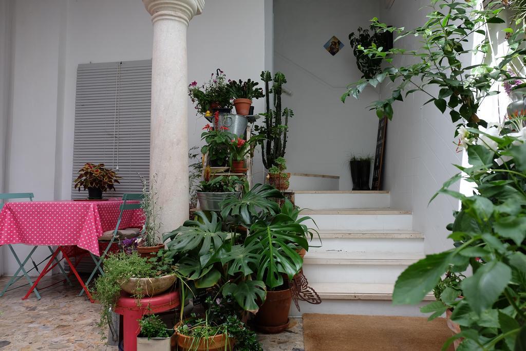 Guest house Casa De Huespedes Santa Maria (adults Only) 3*
